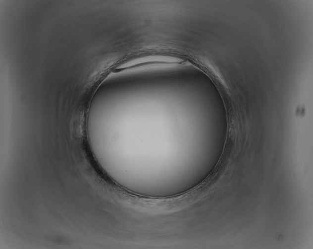 X0000090410023200708031053