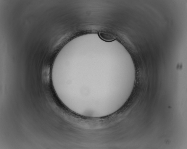 X0000090410024200708031053