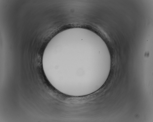 X0000090410025200708031053