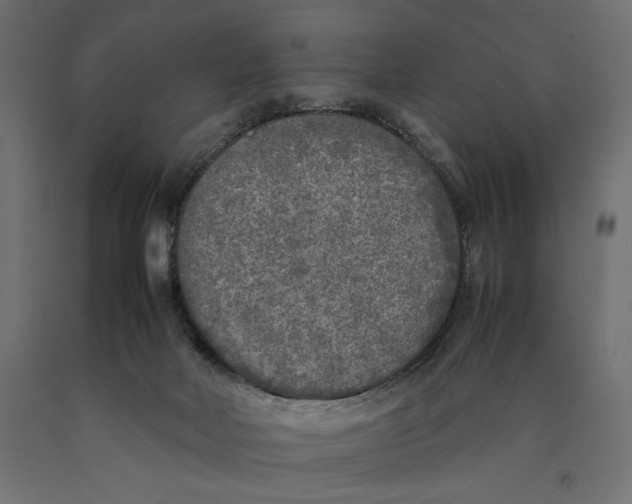 X0000090410026200708031053
