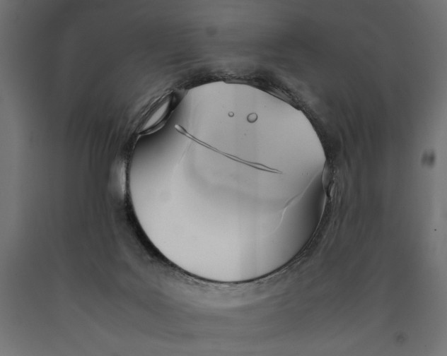 X0000090410027200708031053