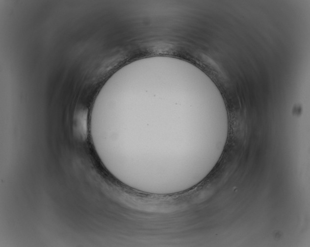 X0000090410028200708031053