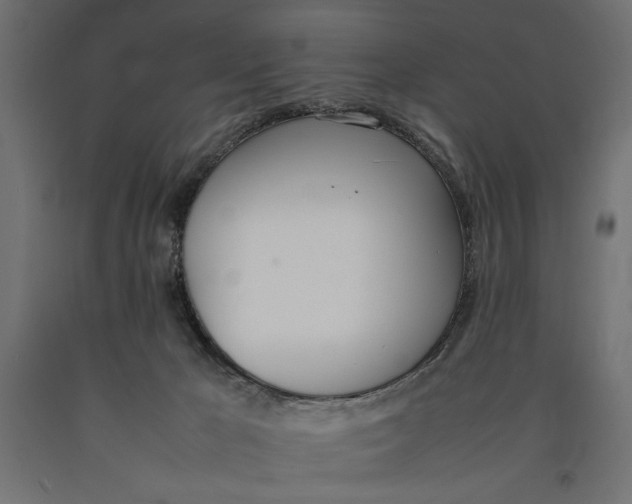 X0000090410029200708031053