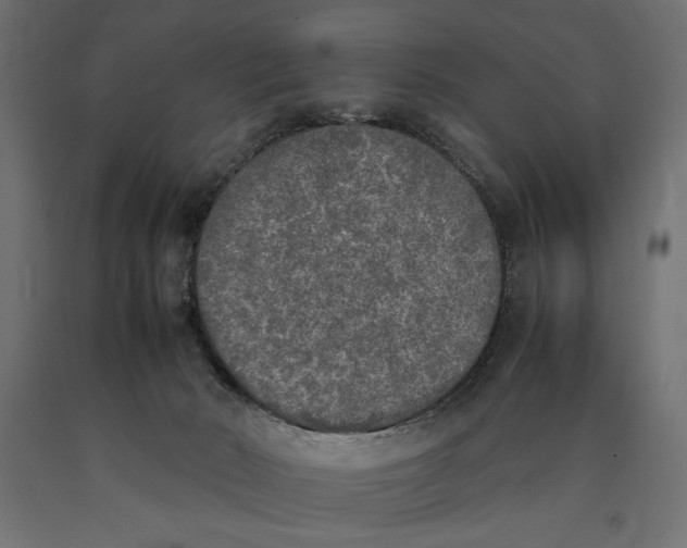 X0000090410030200708031053