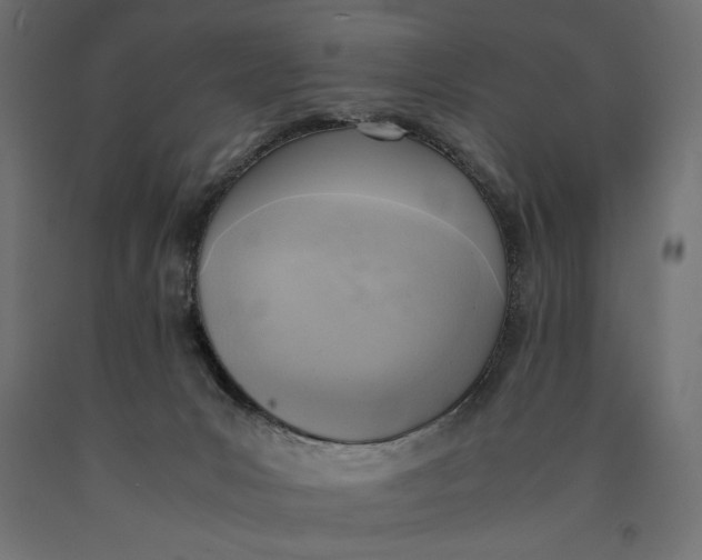 X0000090410031200708031053