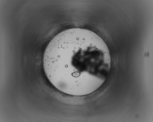 X0000090410032200708031053