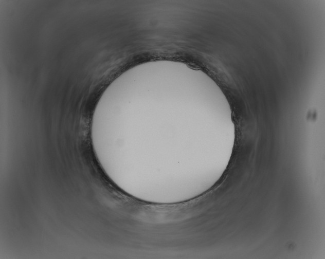 X0000090410033200708031053