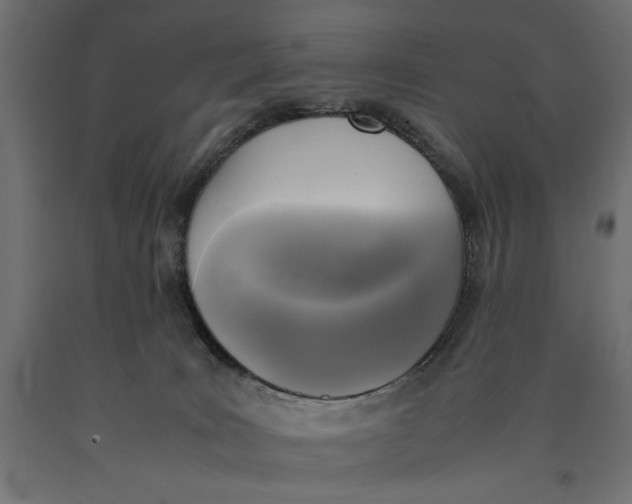 X0000090410035200708031053