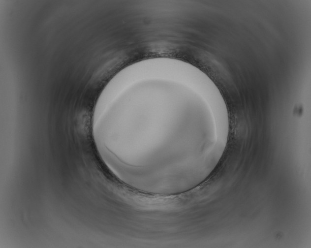 X0000090410036200708031053