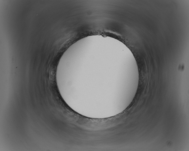 X0000090410037200708031053