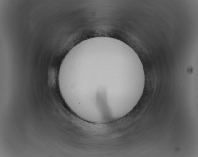 X0000090410038200708031053