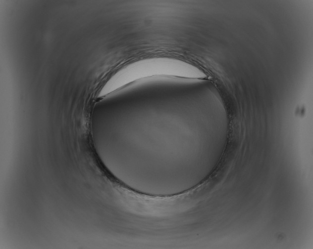 X0000090410039200708031053