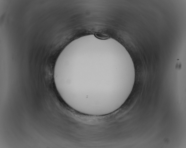 X0000090410040200708031053