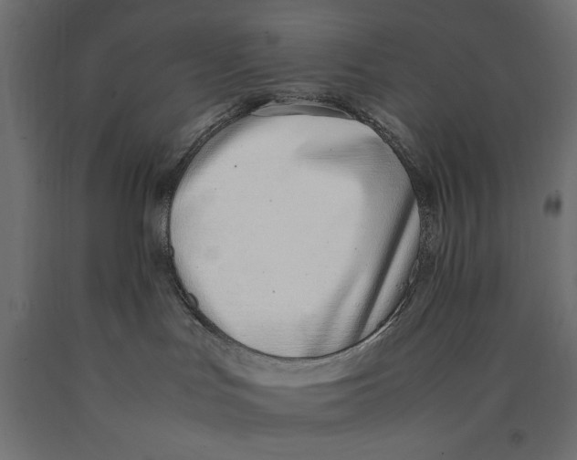 X0000090410047200708031052