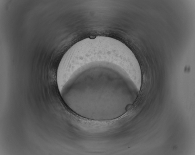 X0000090410048200708031052