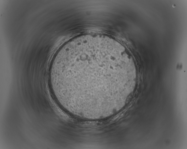 X0000090410049200708031052