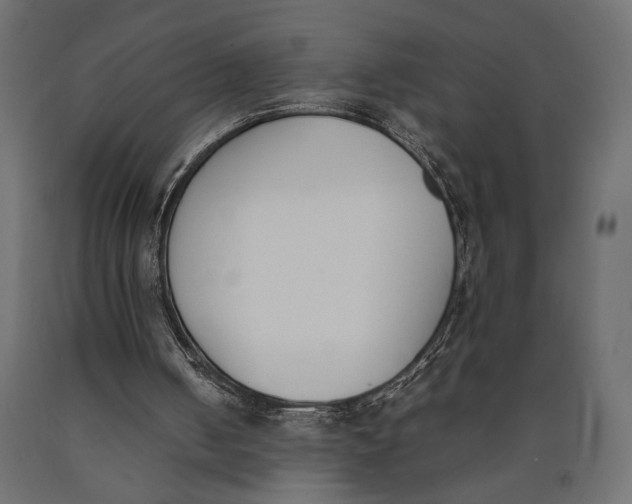 X0000090410050200708031052