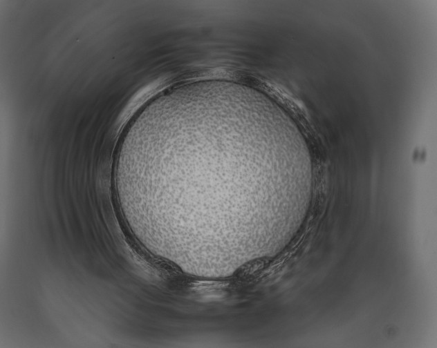 X0000090410051200708031052