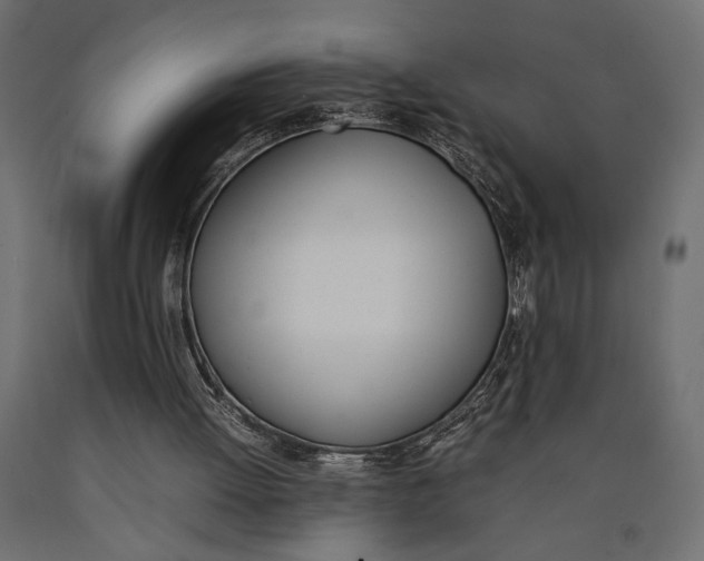 X0000090410052200708031052