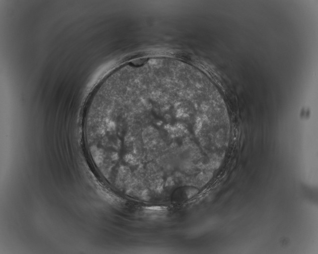 X0000090410053200708031052