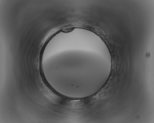 X0000090410054200708031052