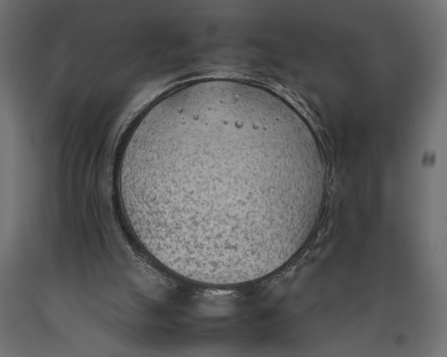 X0000090410055200708031052