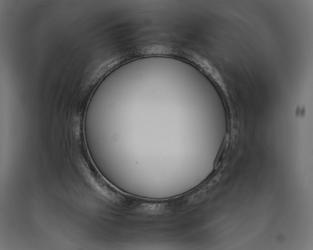 X0000090410057200708031052
