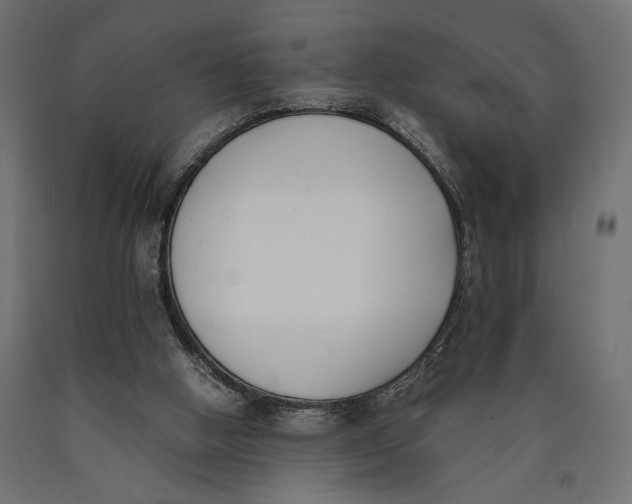 X0000090410058200708031052
