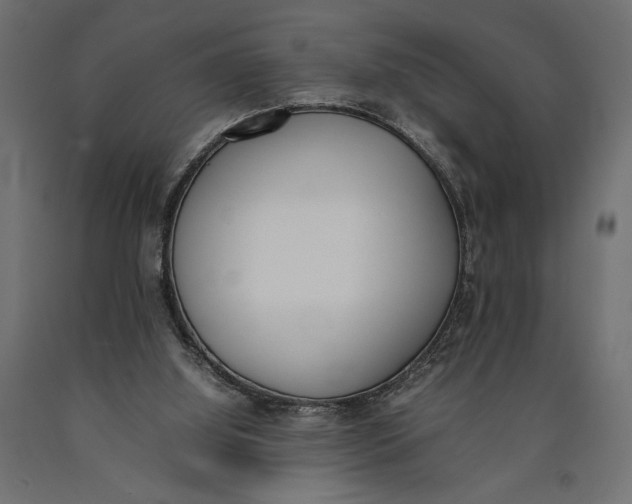 X0000090410060200708031052