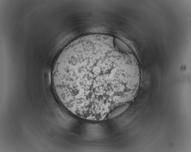 X0000090410061200708031052