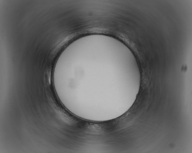 X0000090410062200708031052