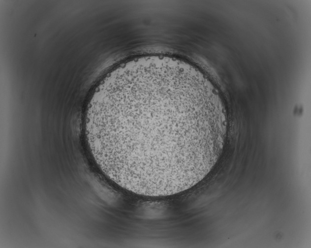 X0000090410063200708031052