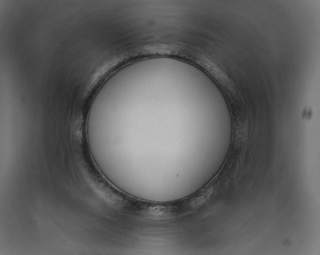 X0000090410064200708031052