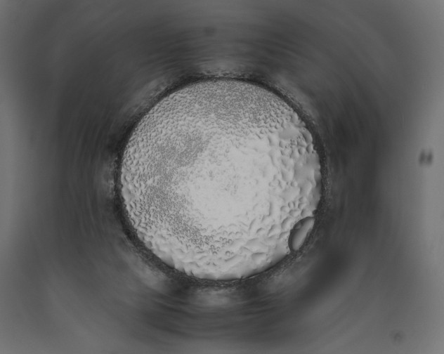 X0000090410065200708031052