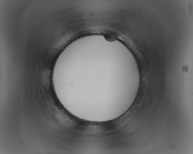 X0000090410066200708031052
