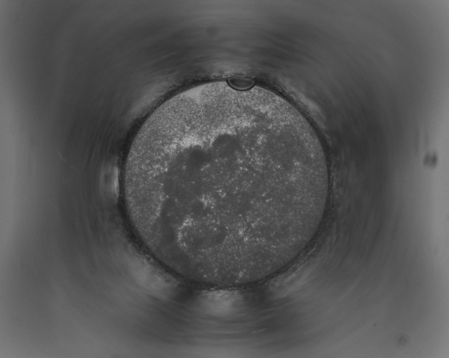X0000090410067200708031052