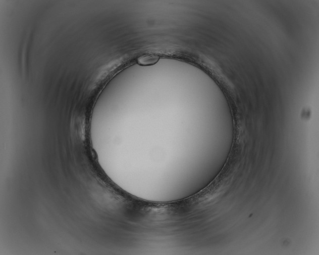 X0000090410068200708031052