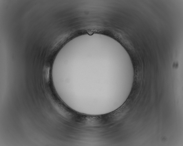 X0000090410070200708031052