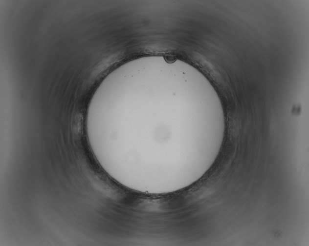 X0000090410071200708031052