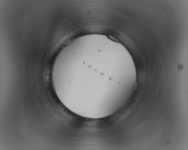 X0000090410072200708031052