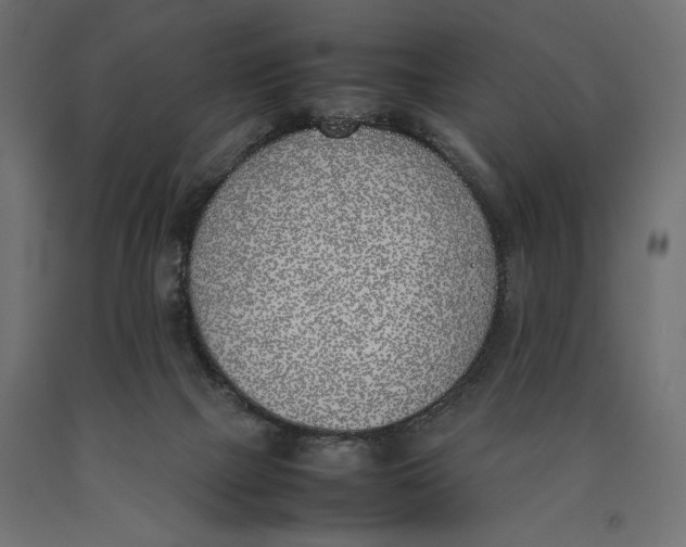 X0000090410073200708031052