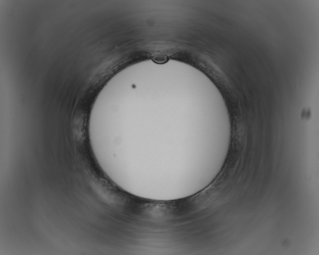 X0000090410074200708031052