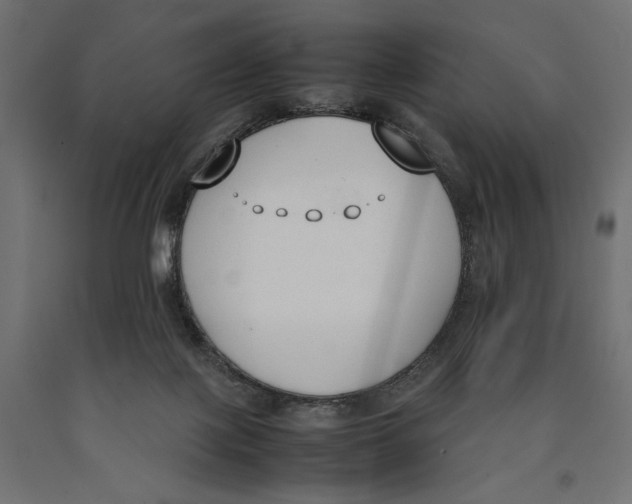 X0000090410075200708031052