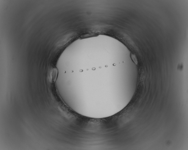 X0000090410076200708031052