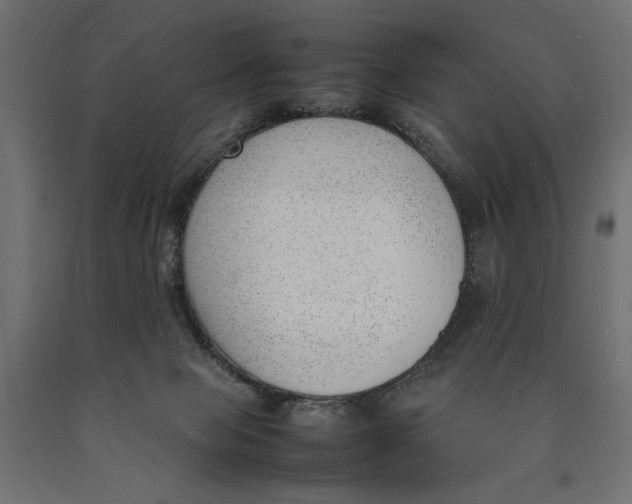 X0000090410077200708031052