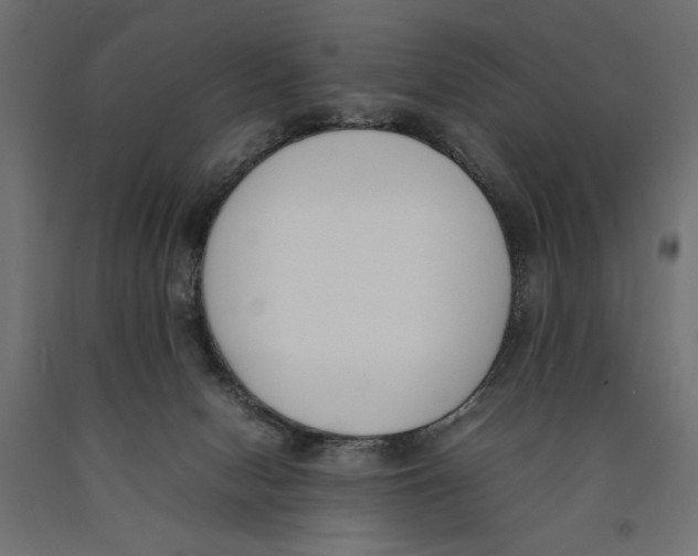 X0000090410078200708031052