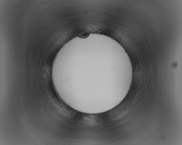 X0000090410079200708031052