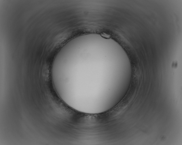 X0000090410080200708031052