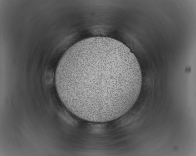 X0000090410081200708031052