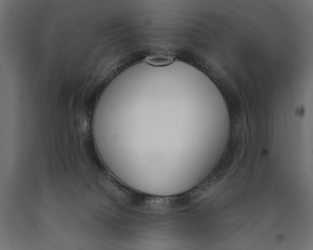 X0000090410084200708031052
